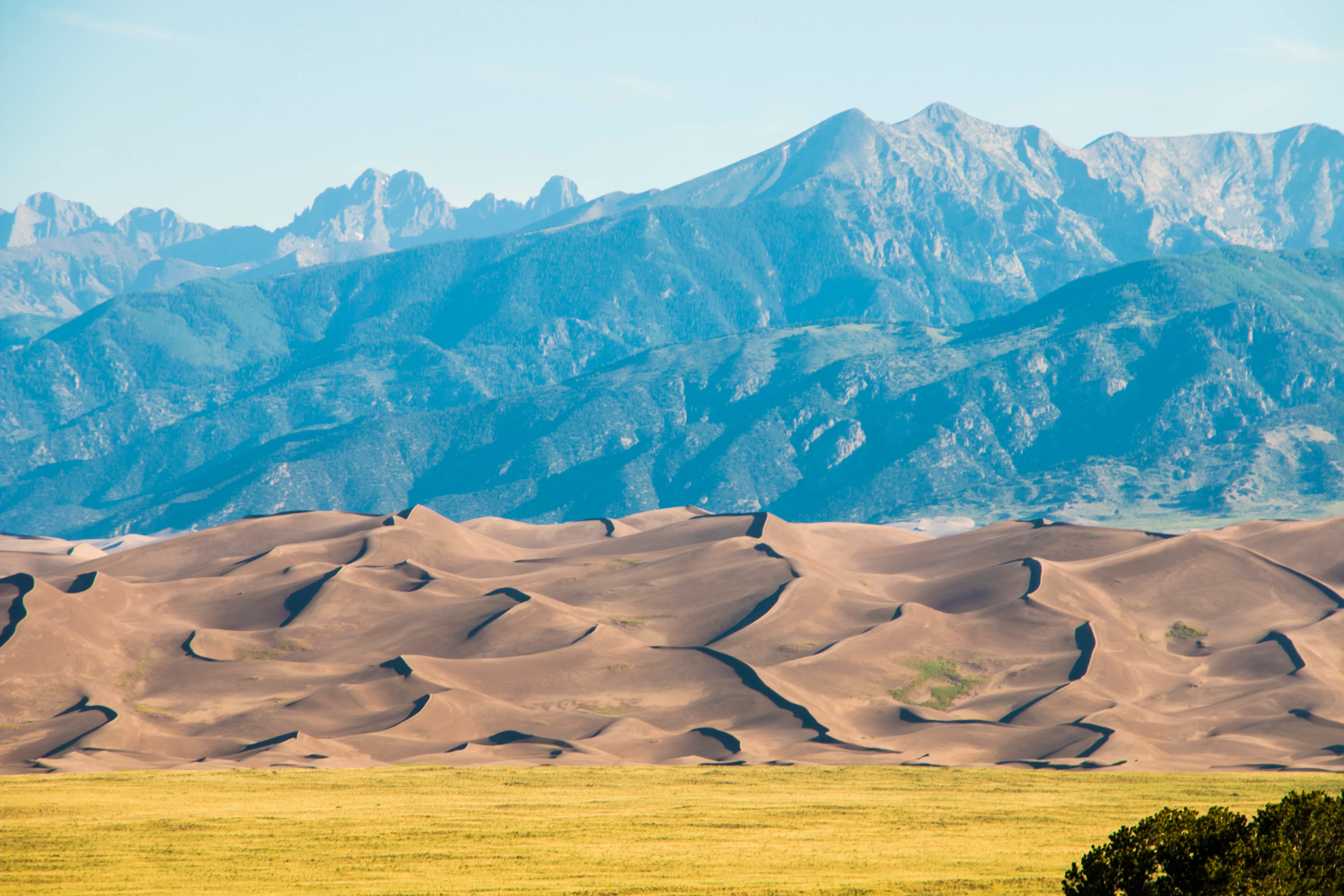 High Dune