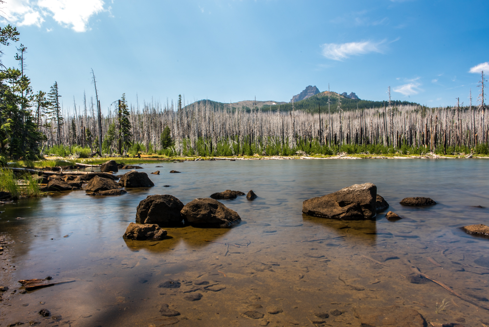 Hike Canyon Creek Meadow and 3 Fingered Jack
