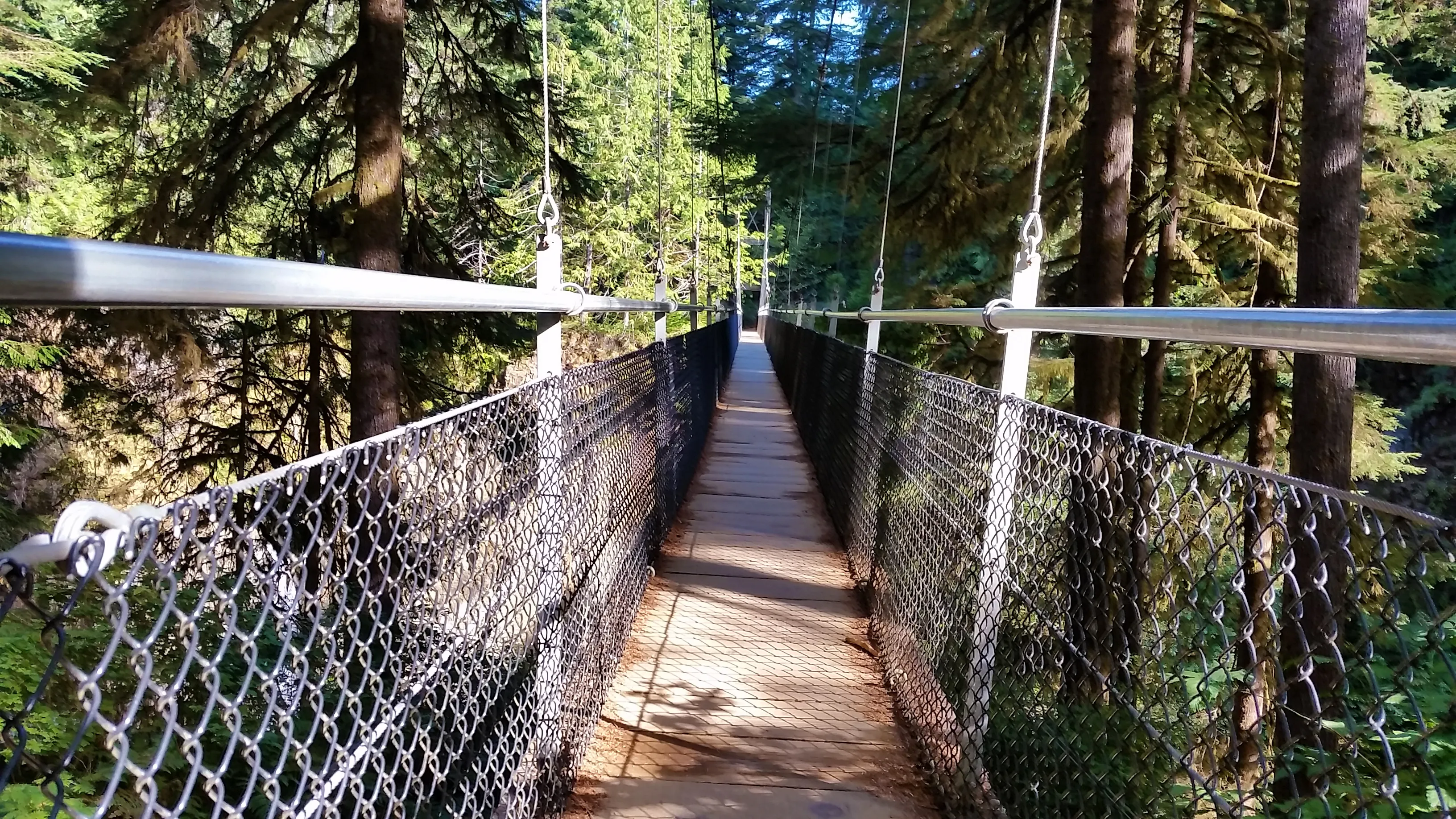 Drift Creek Falls