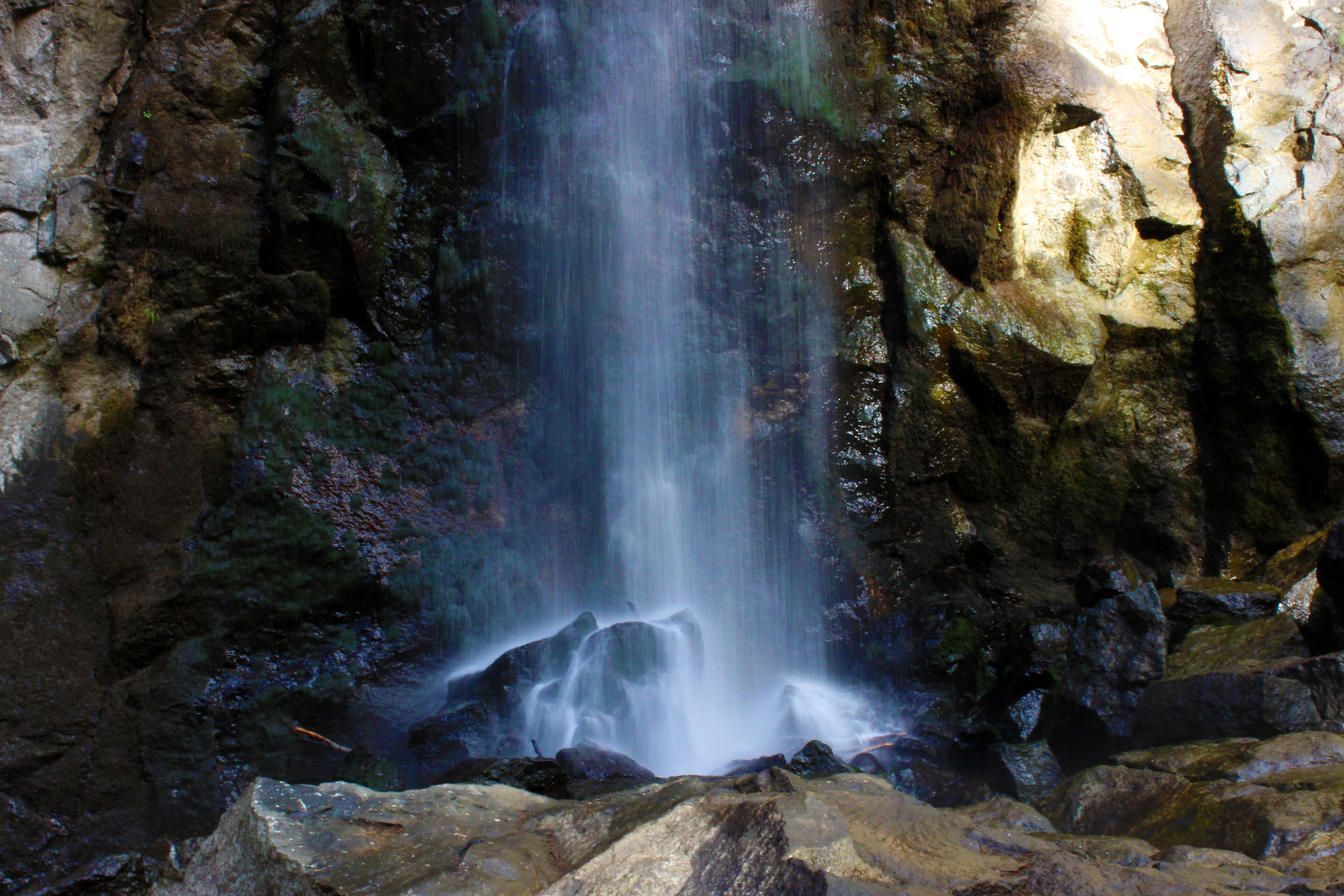 Hike to Drift Creek Falls, Otis, Oregon