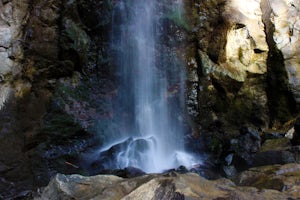 Hike to Drift Creek Falls