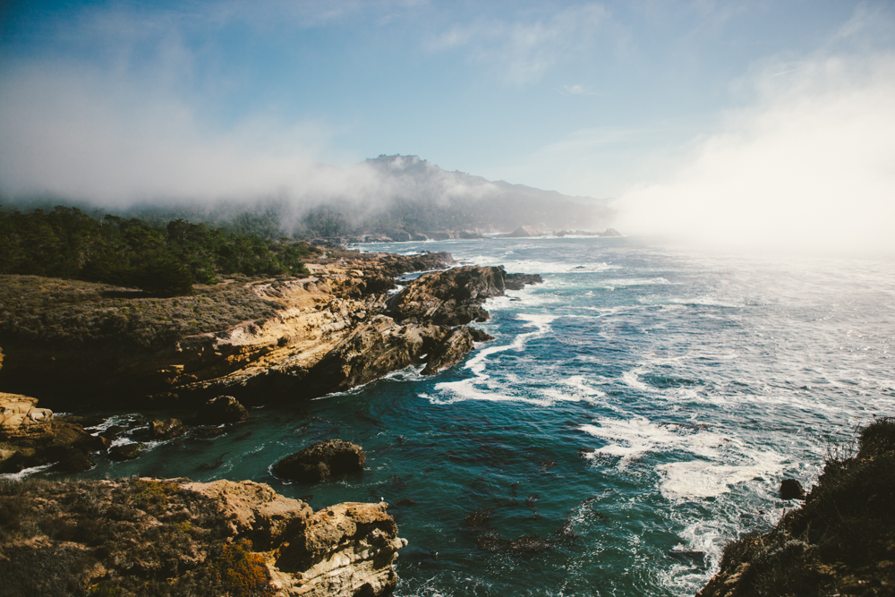 Whalers Cove  Loop