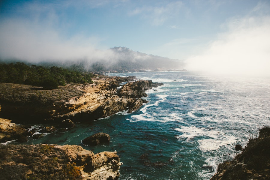 Explore Point Lobos' Whalers Cove , San Francisco