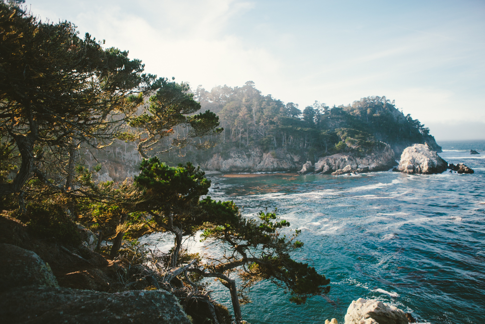 Whalers Cove  Loop