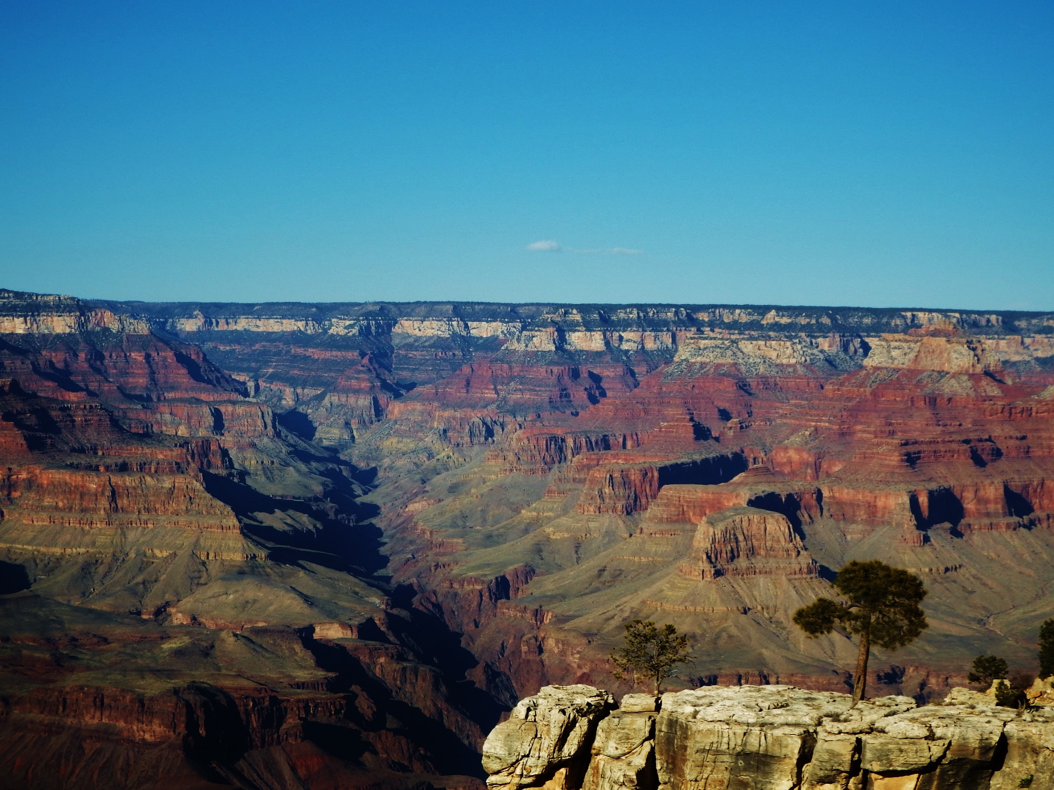 Plateau Point via Bright Angel Trail