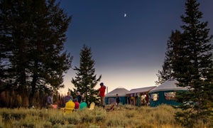 Camp at the Coyote Yurts