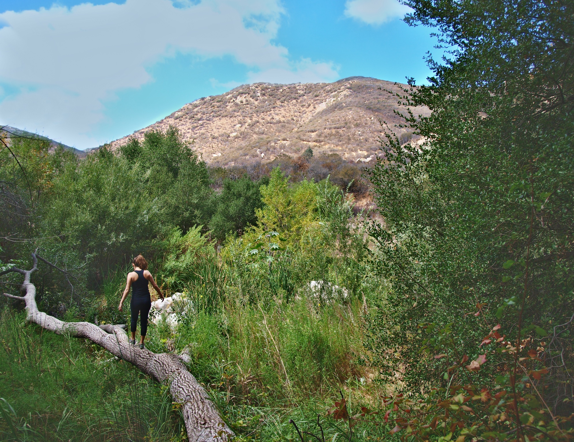 Lake Hodges Overlook