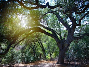 Day Hike Elfin Forest