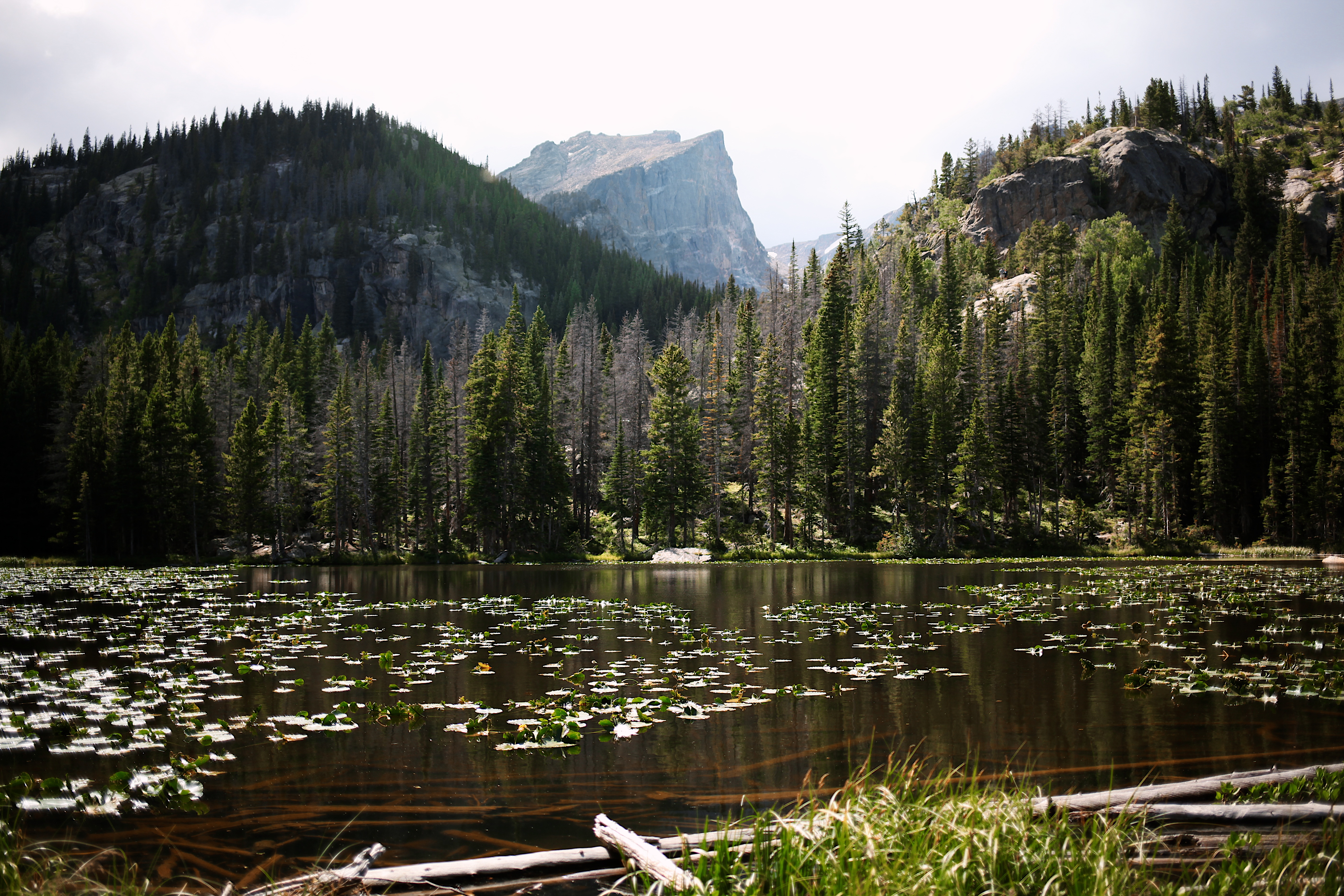 Hike Nymph Lake, Dream Lake, and Emerald Lake