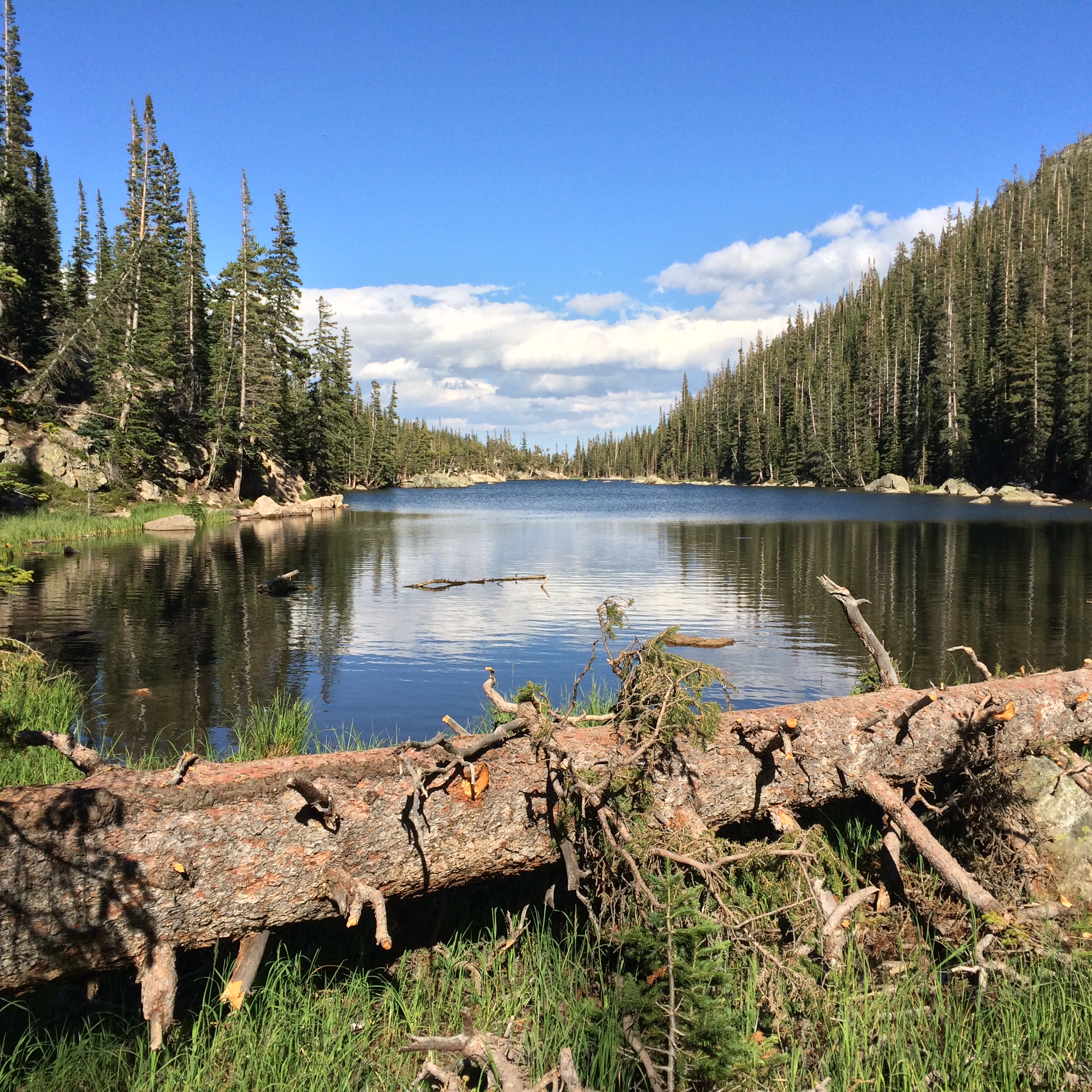 Hike Nymph Lake, Dream Lake, and Emerald Lake
