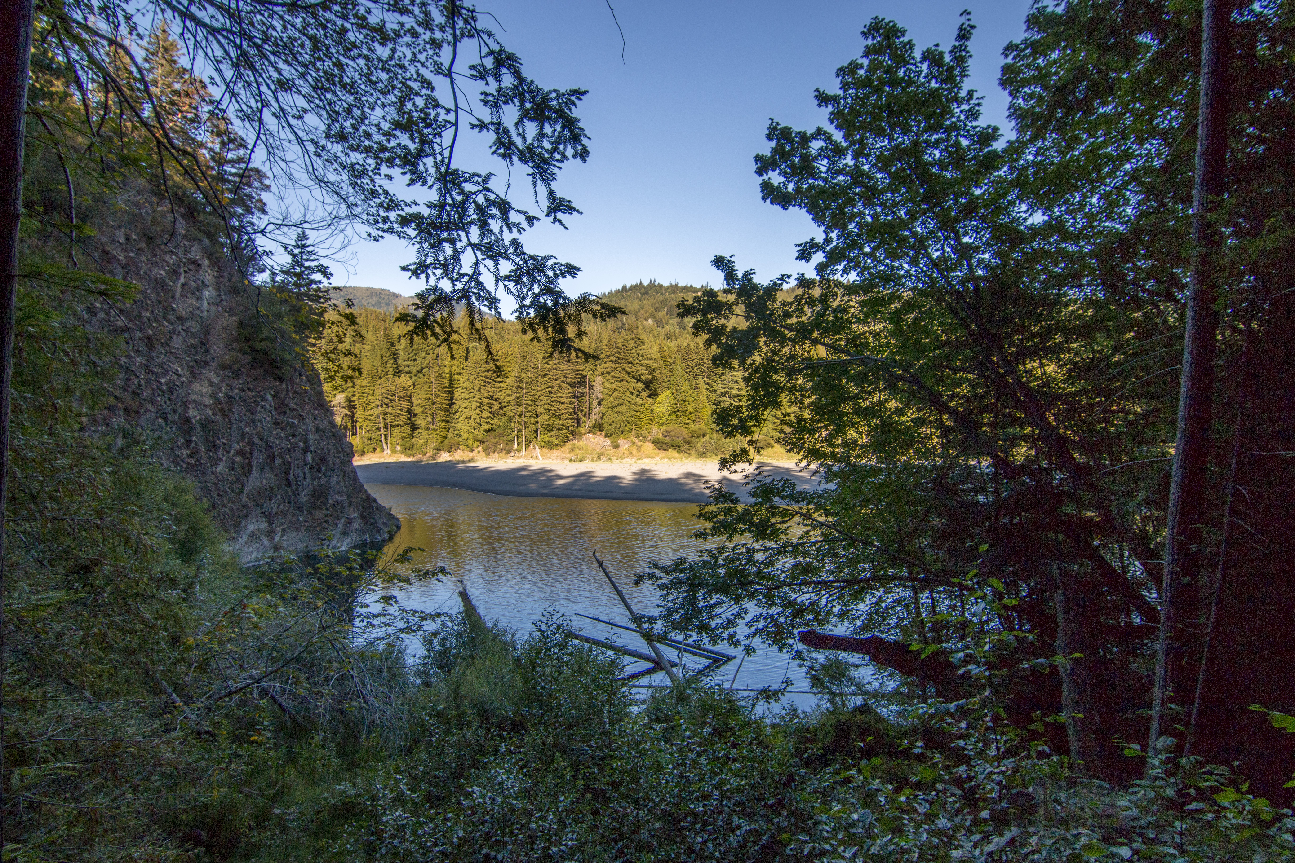 Avenue of the Giants