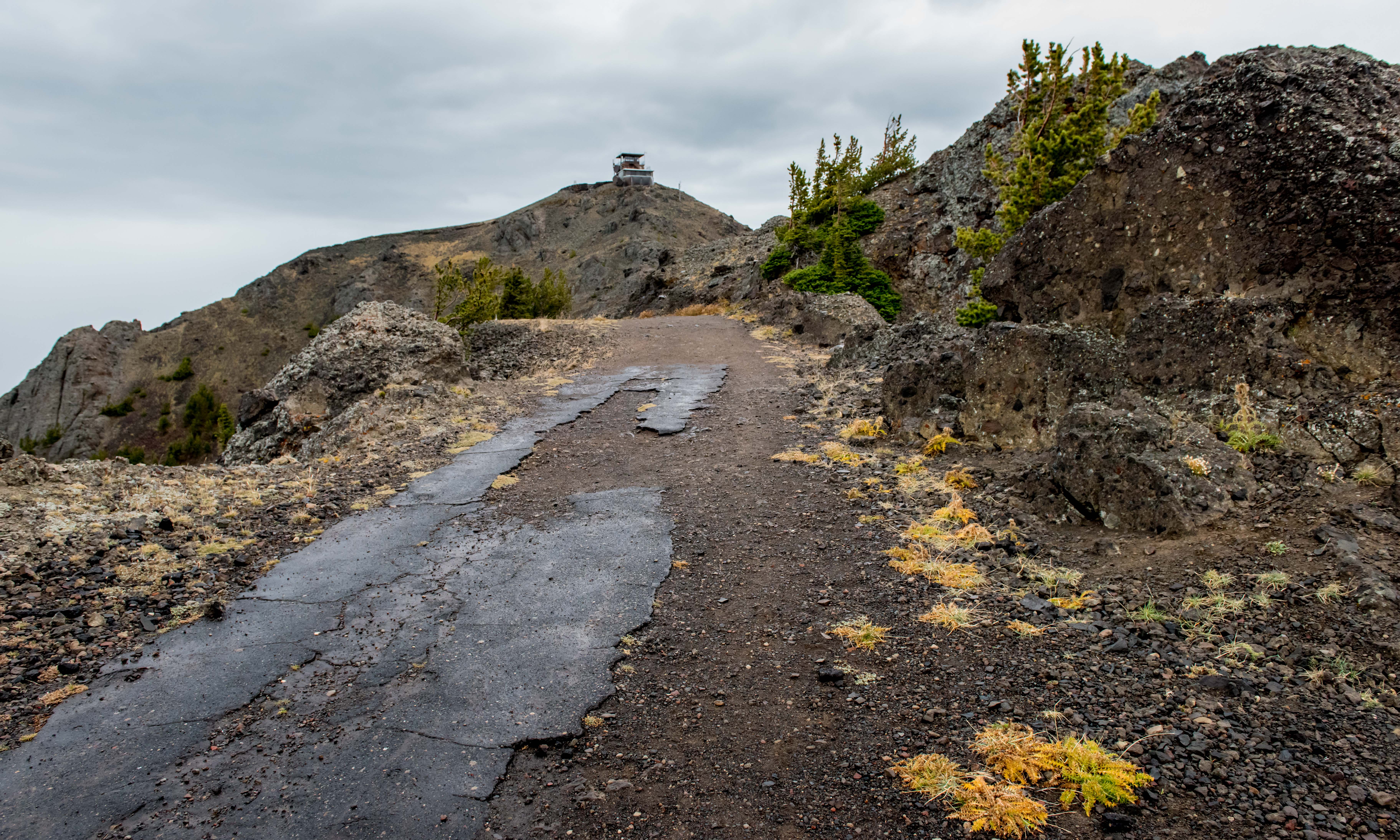 Mt. Washburn via South Trail 