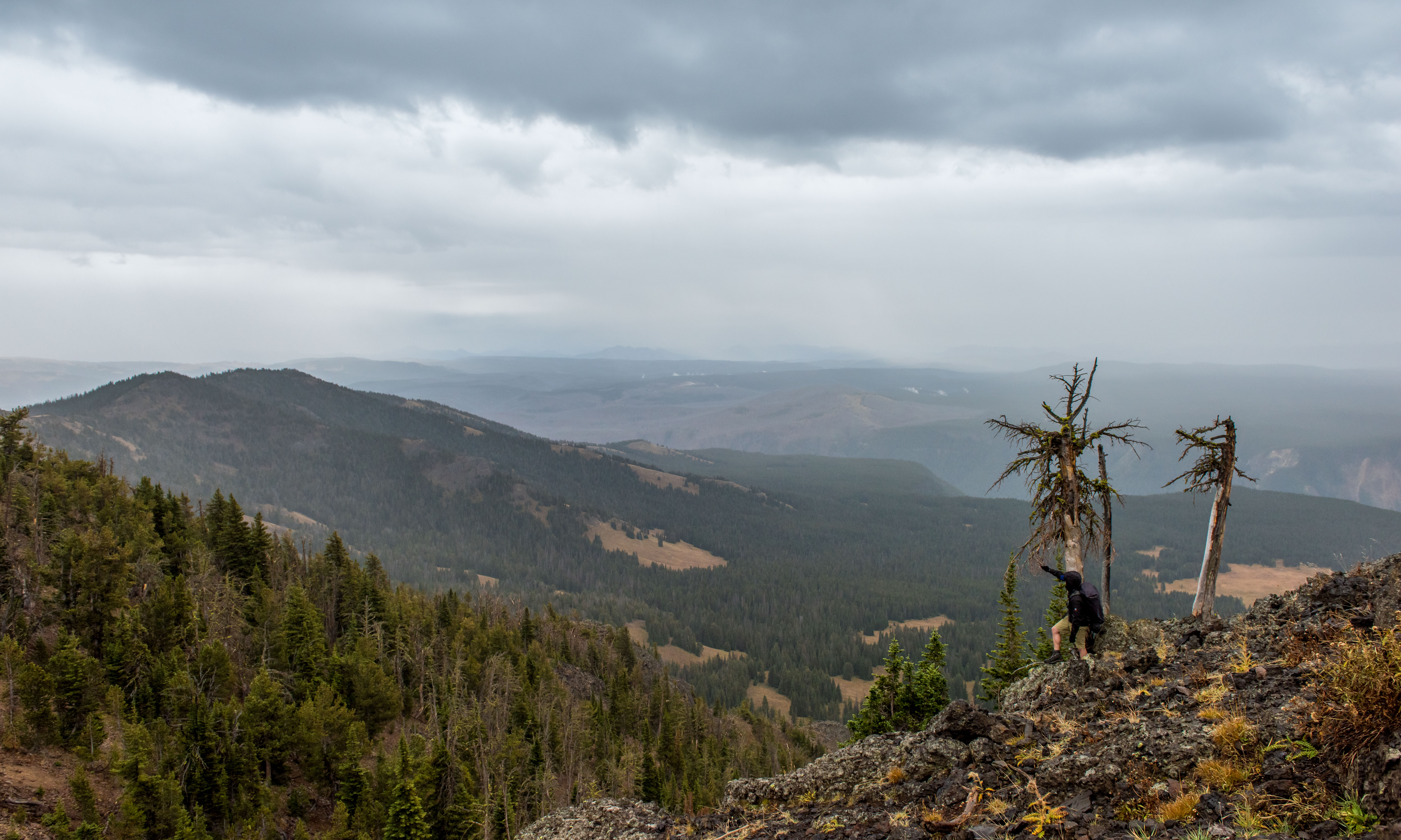 Mt. Washburn via South Trail 