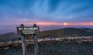 Mt. Washburn via South Trail 