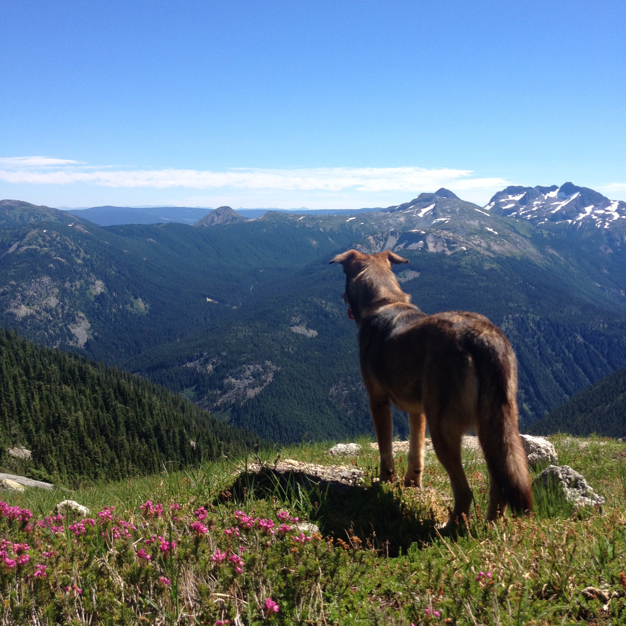 Hike Yak Peak