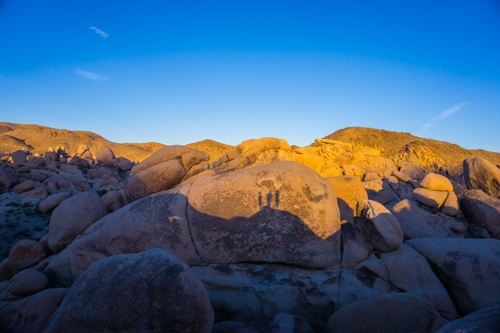 Camp at Joshua Tree's White Tank Campground