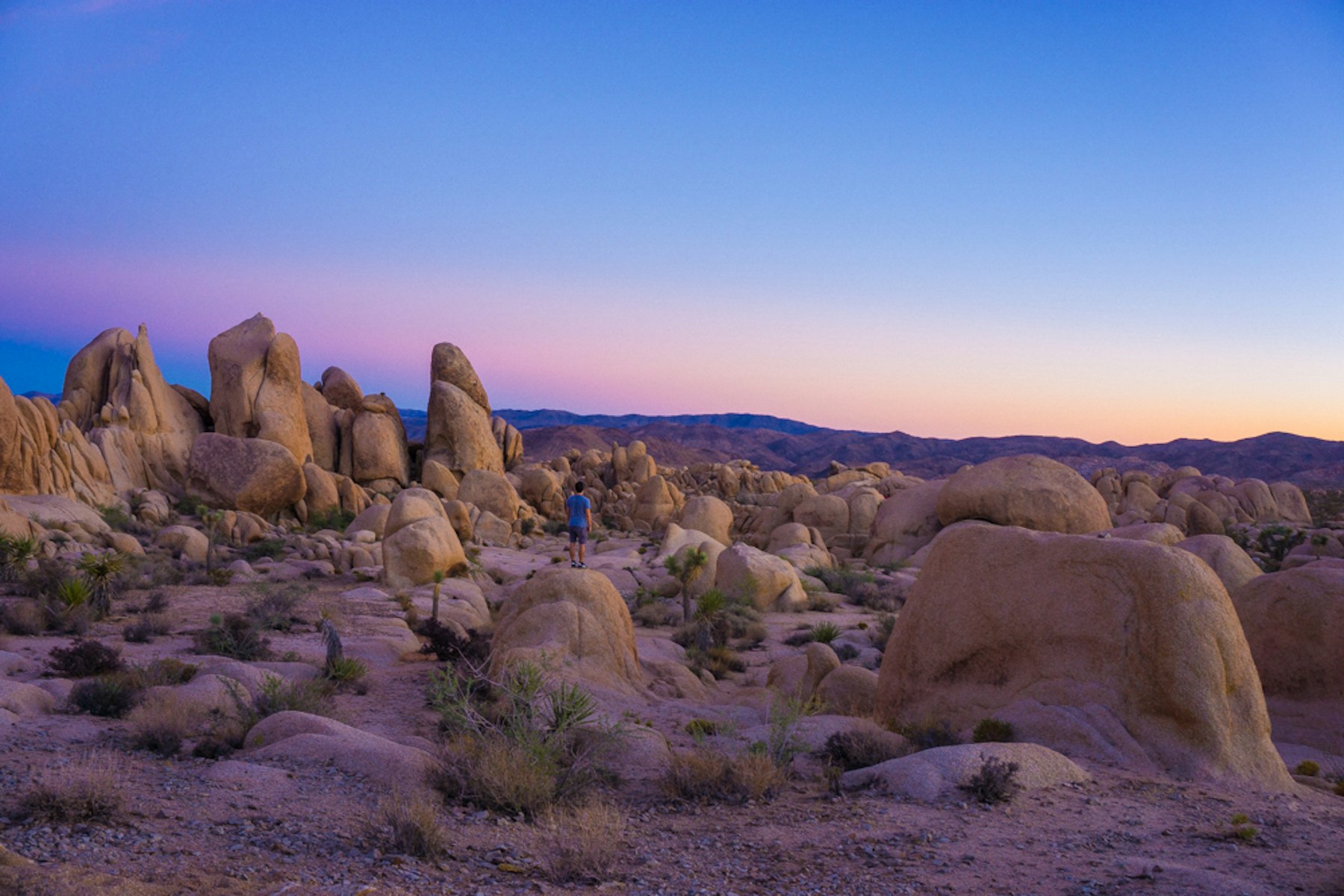 Camp at Joshua Tree's White Tank Campground, Riverside County, California