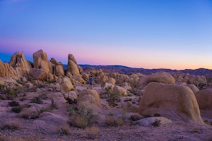 Camp at Joshua Tree's White Tank Campground