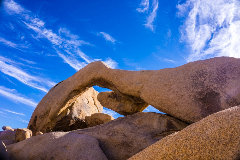 Camp at Joshua Tree's White Tank Campground