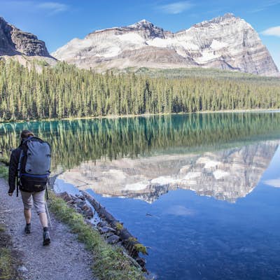 Backpack to Alberta's Abbot Pass Hut 