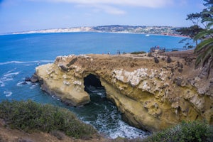 Explore La Jolla Cove