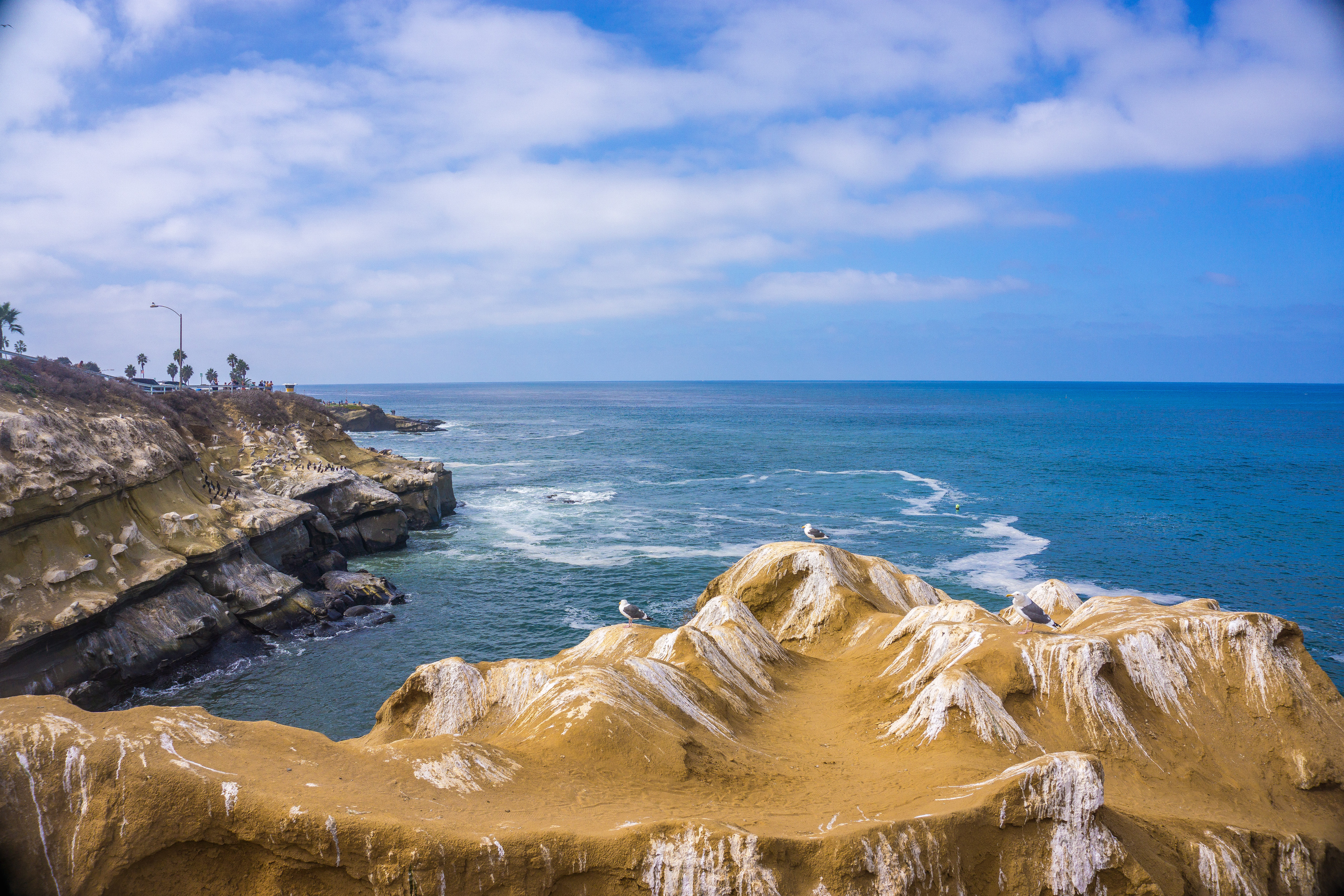 La Jolla Cove