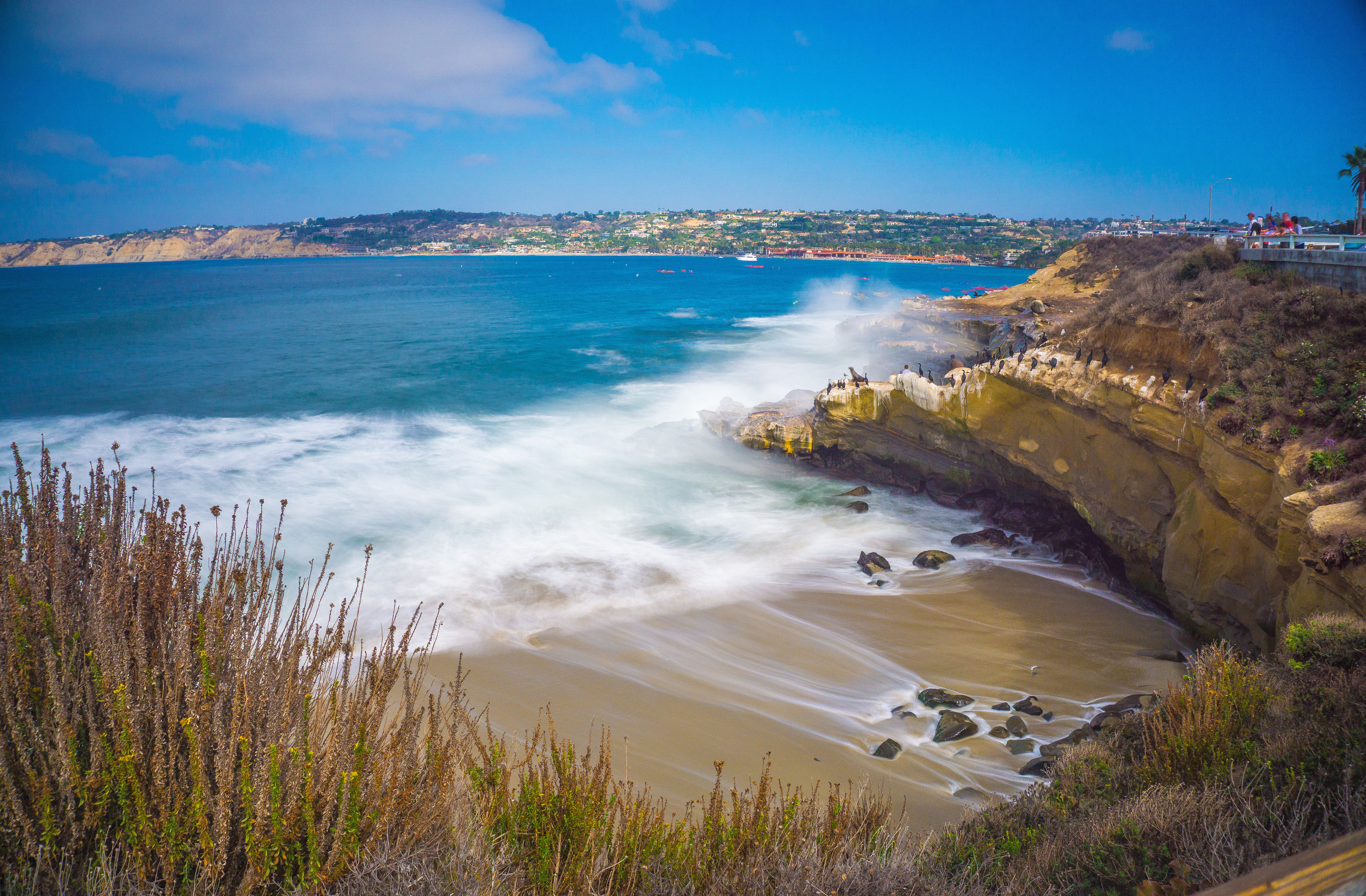 Explore La Jolla Cove, San Diego, California