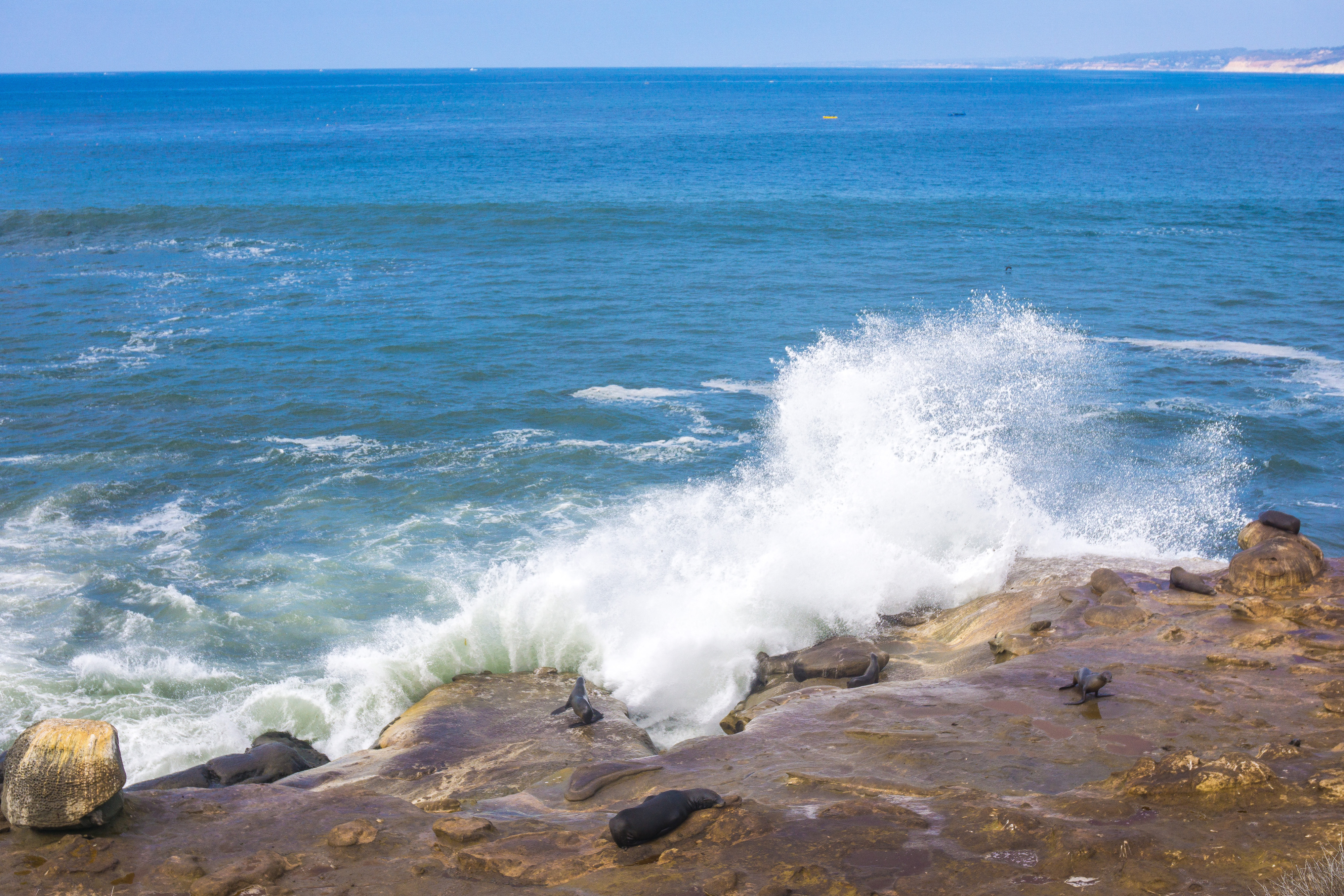 La Jolla Cove