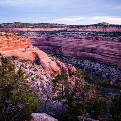 Running Ute Canyon in Colorado National Monument