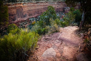 Running Ute Canyon in Colorado National Monument