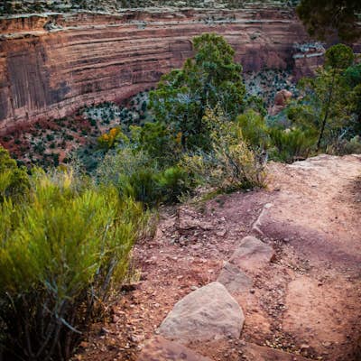 Running Ute Canyon in Colorado National Monument