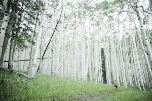 Trail Run in Lockett Meadow