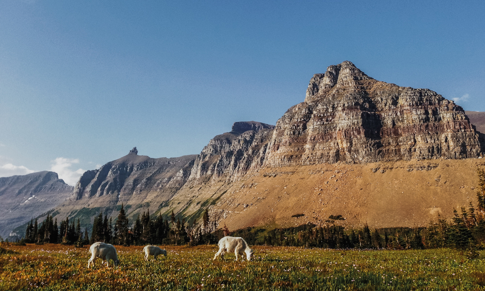 Hidden Lake Overlook