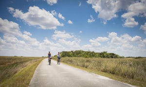 Bike through Shark Valley