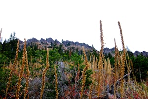 Hike Montana's Swan Crest Trail