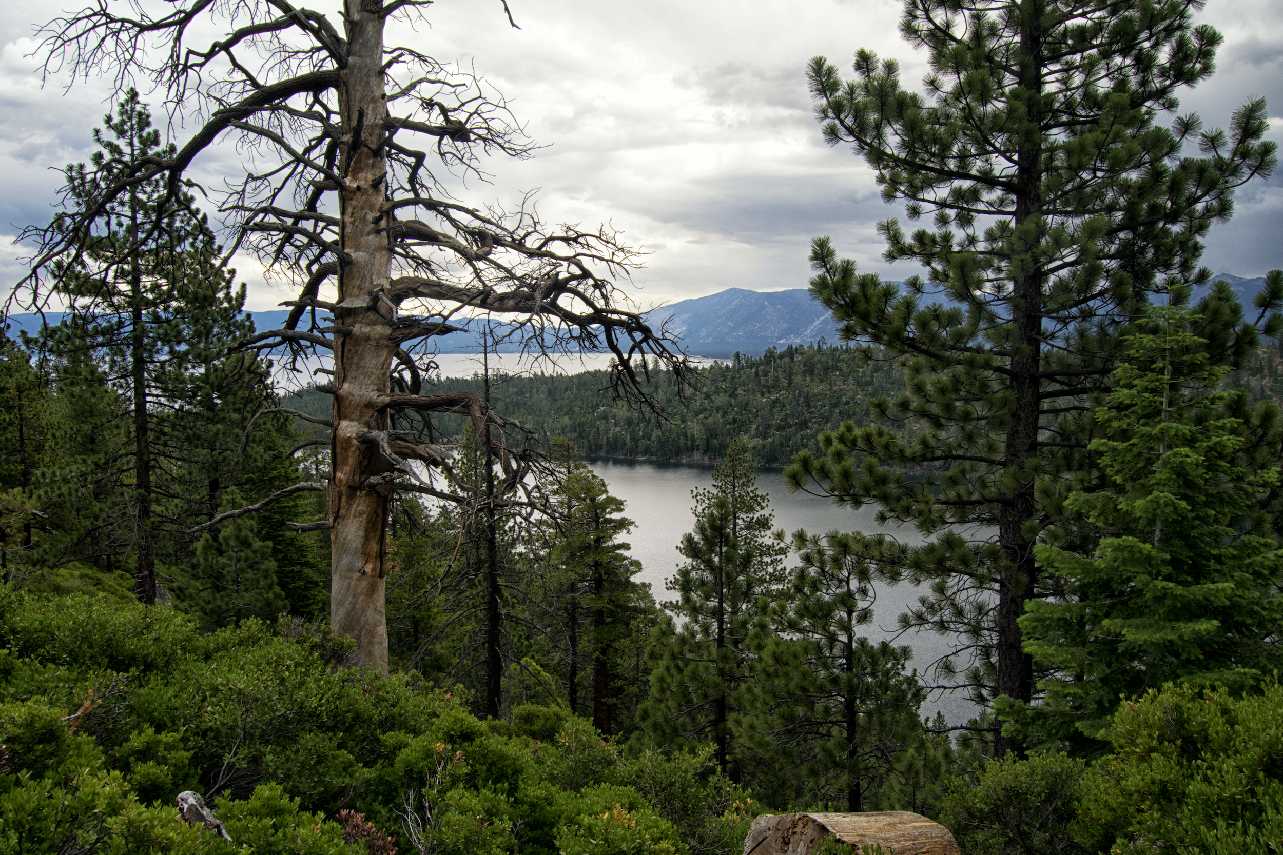 Eagle Falls & Eagle Lake Loop
