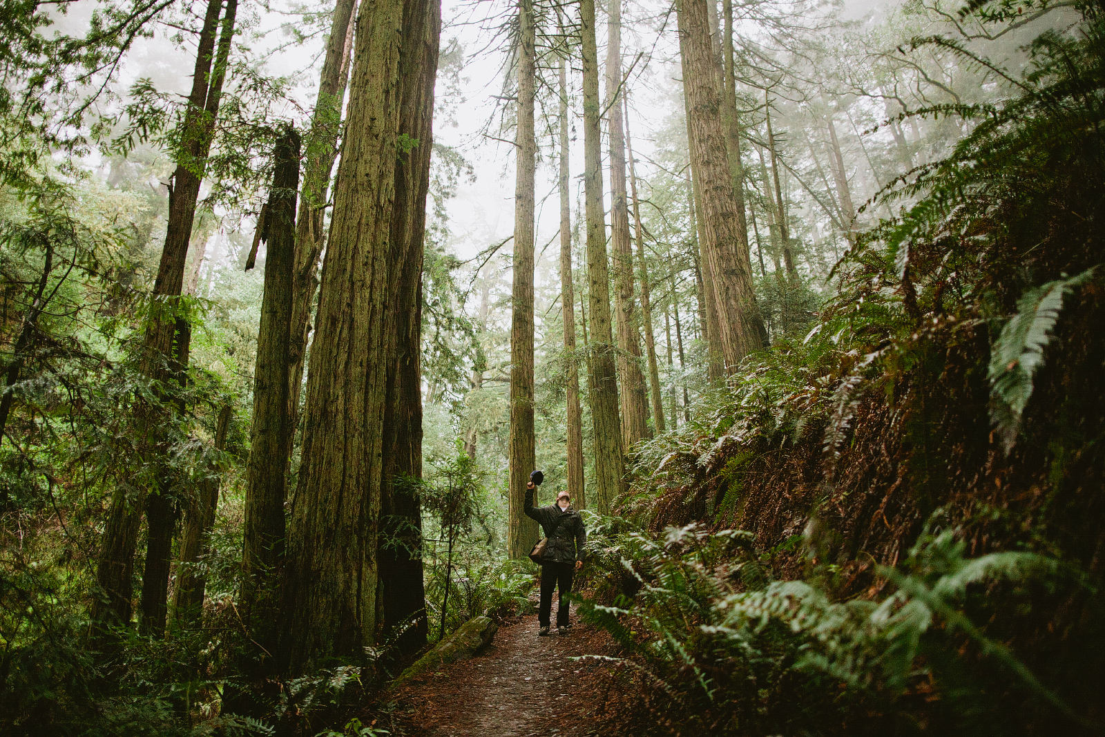 Matt Davis-Steep Ravine Loop
