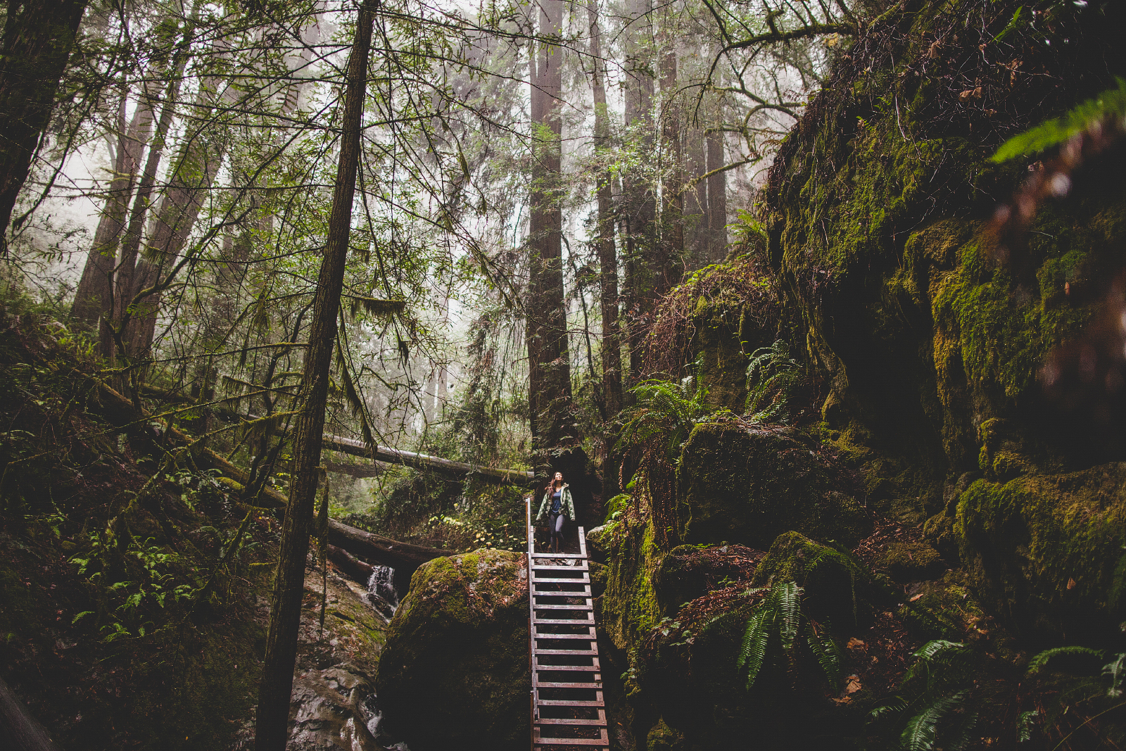 Matt Davis-Steep Ravine Loop