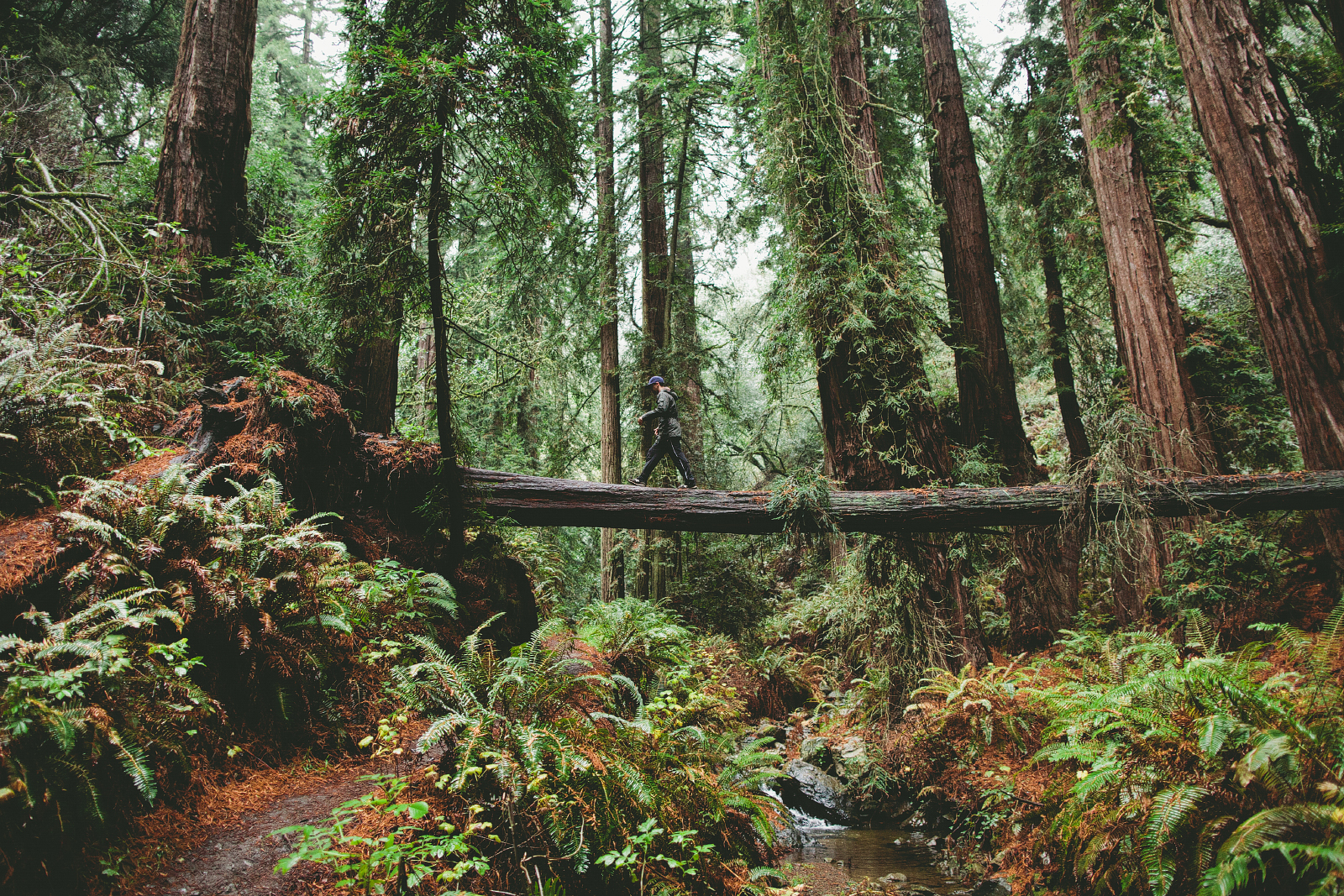 Matt Davis-Steep Ravine Loop
