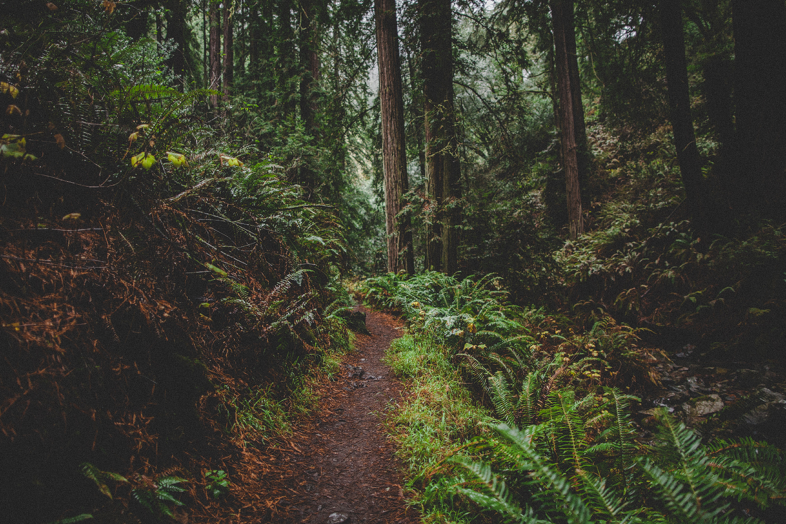 Matt Davis-Steep Ravine Loop