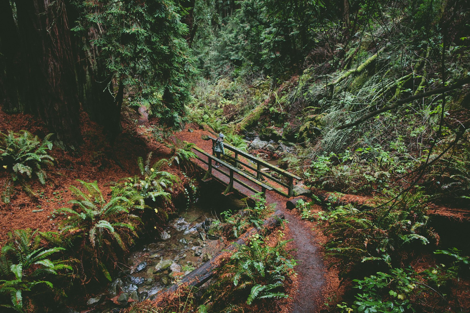 Matt Davis-Steep Ravine Loop, Stinson Beach, California