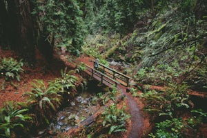 Matt Davis-Steep Ravine Loop