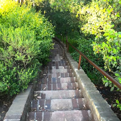 Run the Coit Tower Stairs