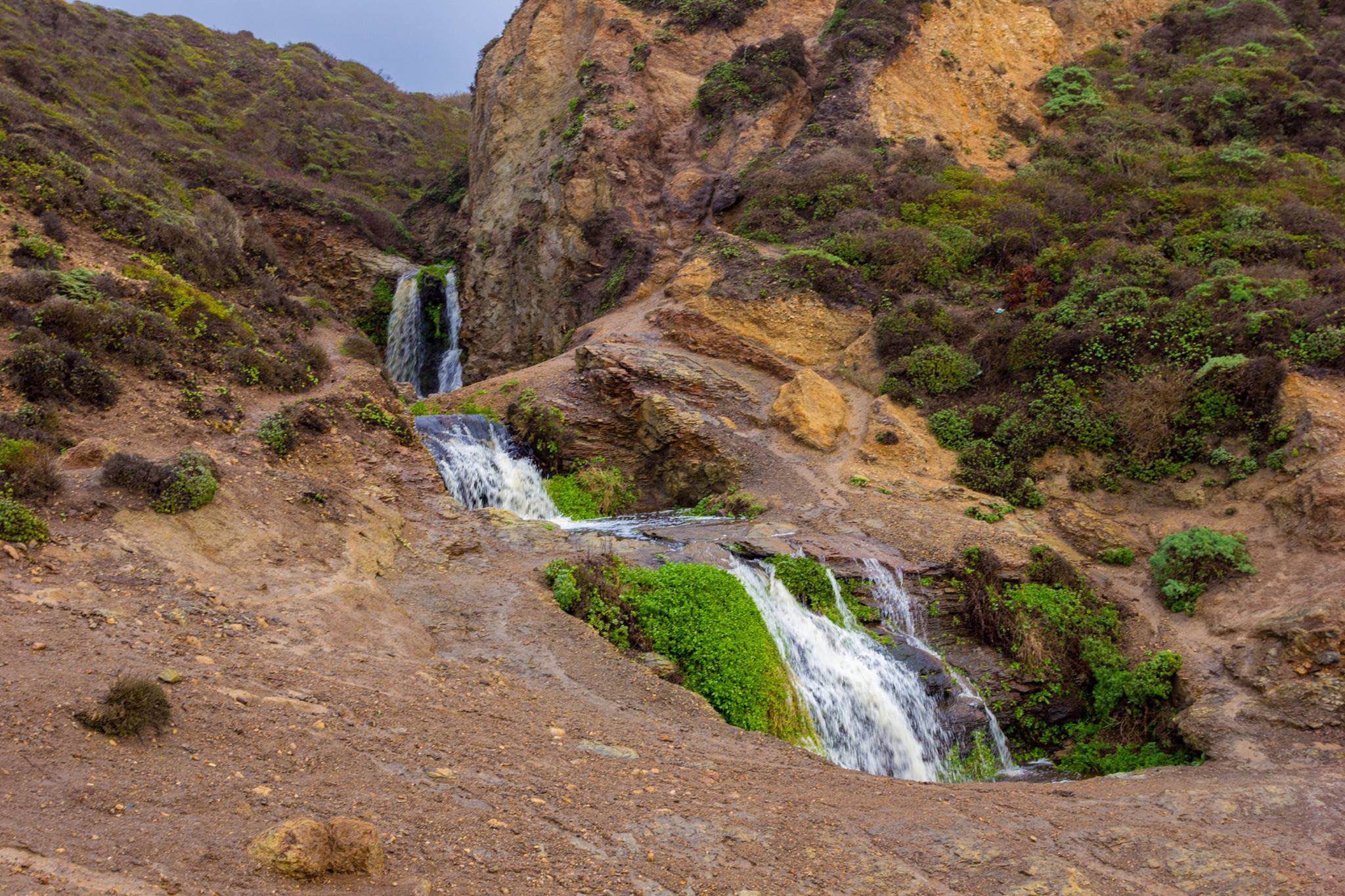 Alamere Falls via Palomarin Trailhead 