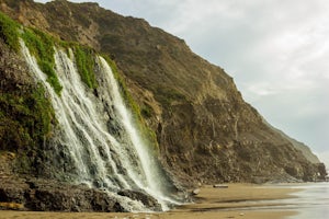 Alamere Falls via Palomarin Trailhead 