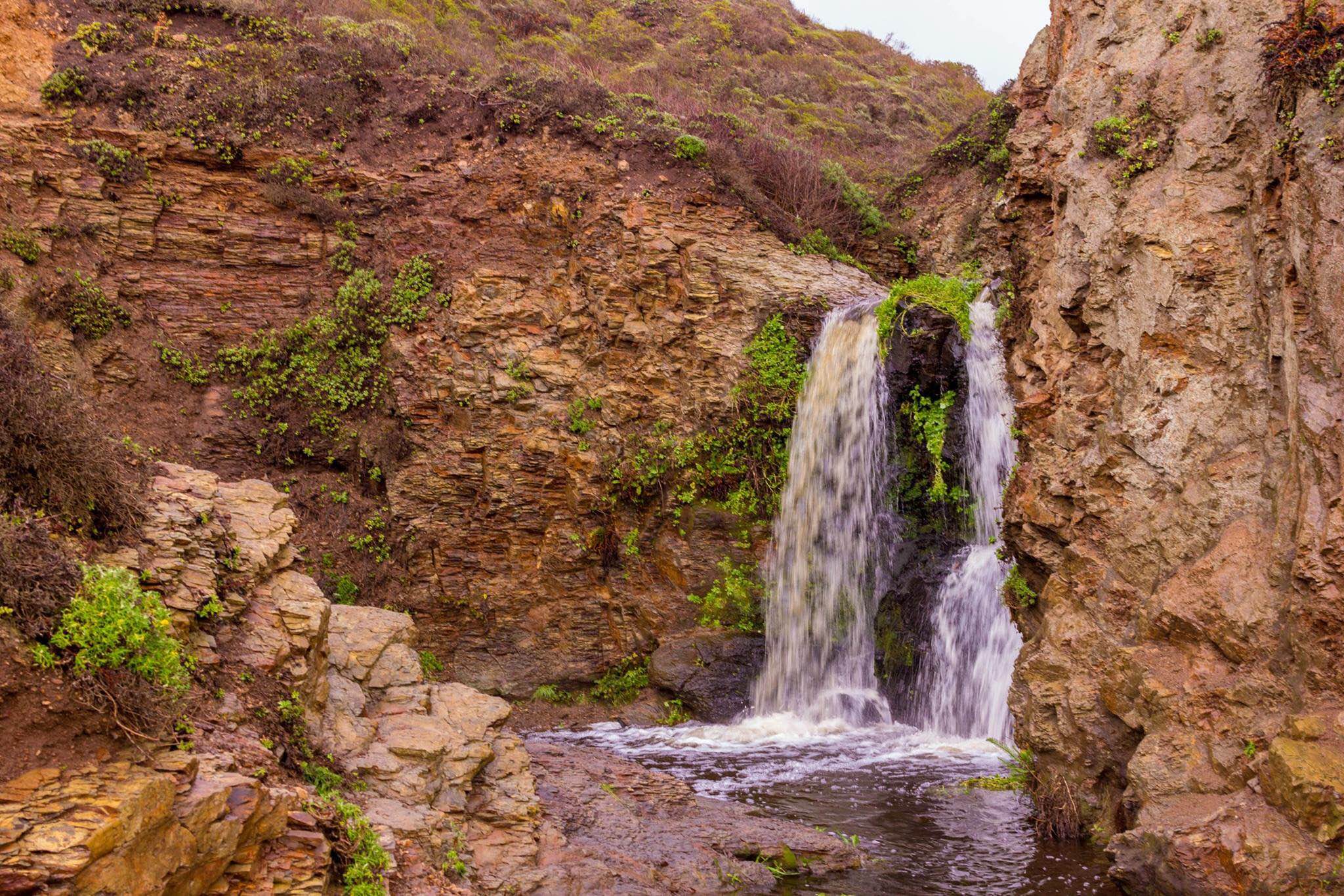 Alamere Falls via Palomarin Trailhead 