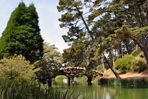 Stow Lake And Strawberry Hill