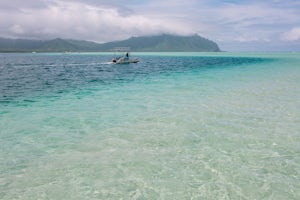 Hang Out at the Kane'ohe Bay Sandbar