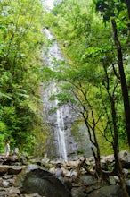 Manoa Falls