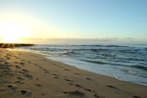 Bodysurfing at Sandy Beach